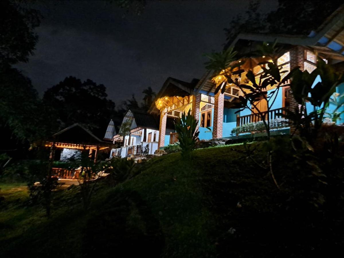 Asim Paris Guesthouse & Jungle Trekking ブキットラワン エクステリア 写真