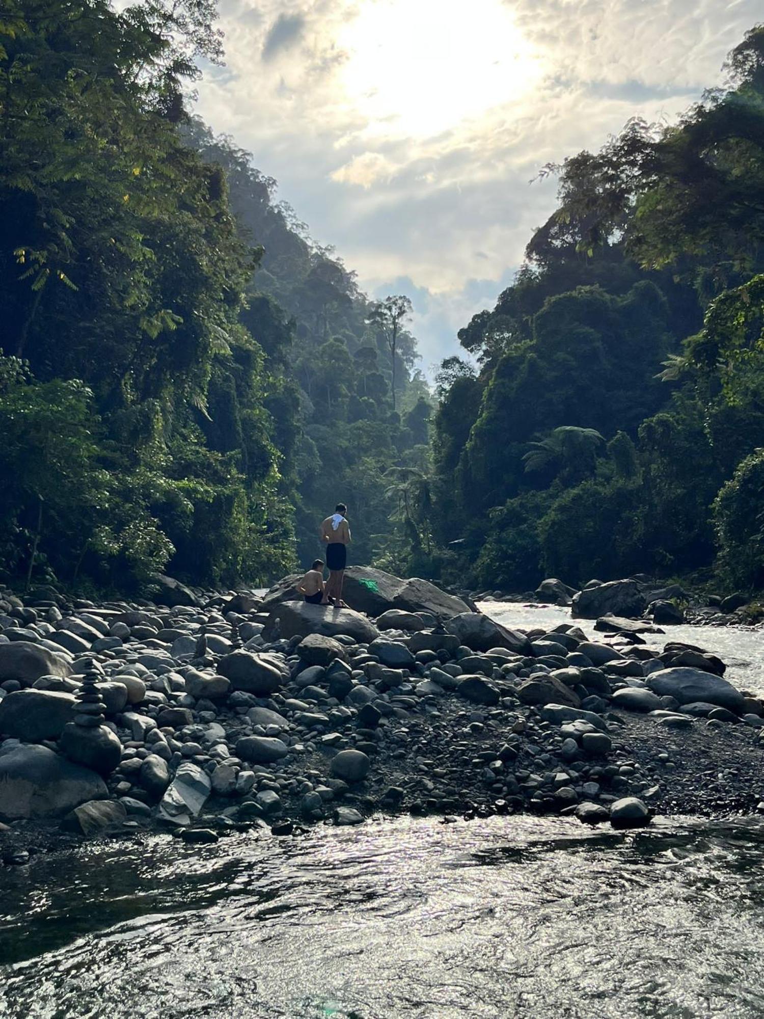 Asim Paris Guesthouse & Jungle Trekking ブキットラワン エクステリア 写真