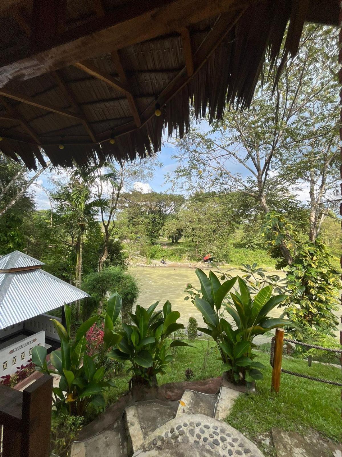 Asim Paris Guesthouse & Jungle Trekking ブキットラワン エクステリア 写真