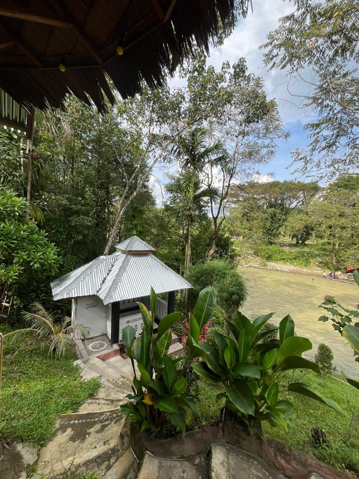 Asim Paris Guesthouse & Jungle Trekking ブキットラワン エクステリア 写真