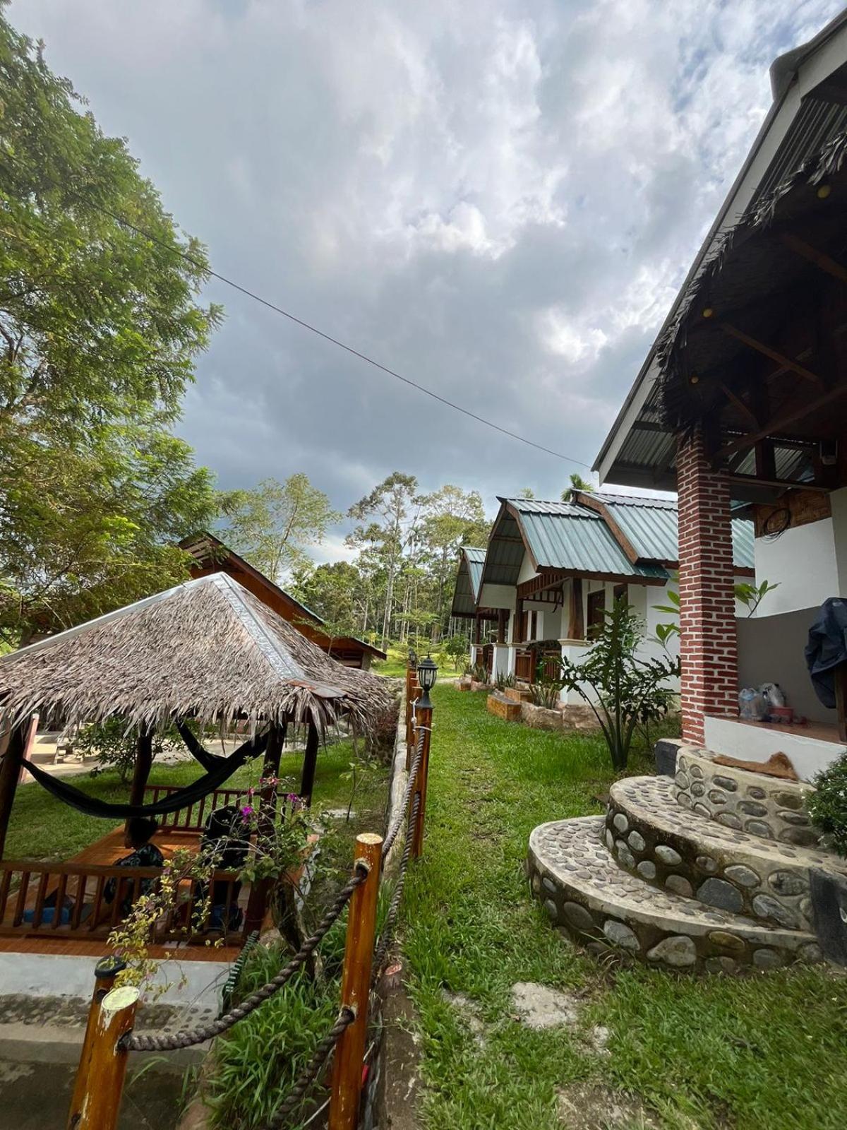 Asim Paris Guesthouse & Jungle Trekking ブキットラワン エクステリア 写真
