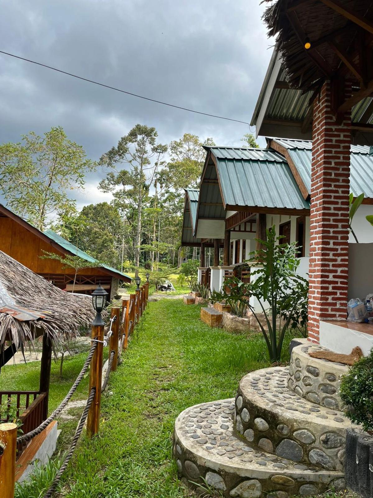 Asim Paris Guesthouse & Jungle Trekking ブキットラワン エクステリア 写真