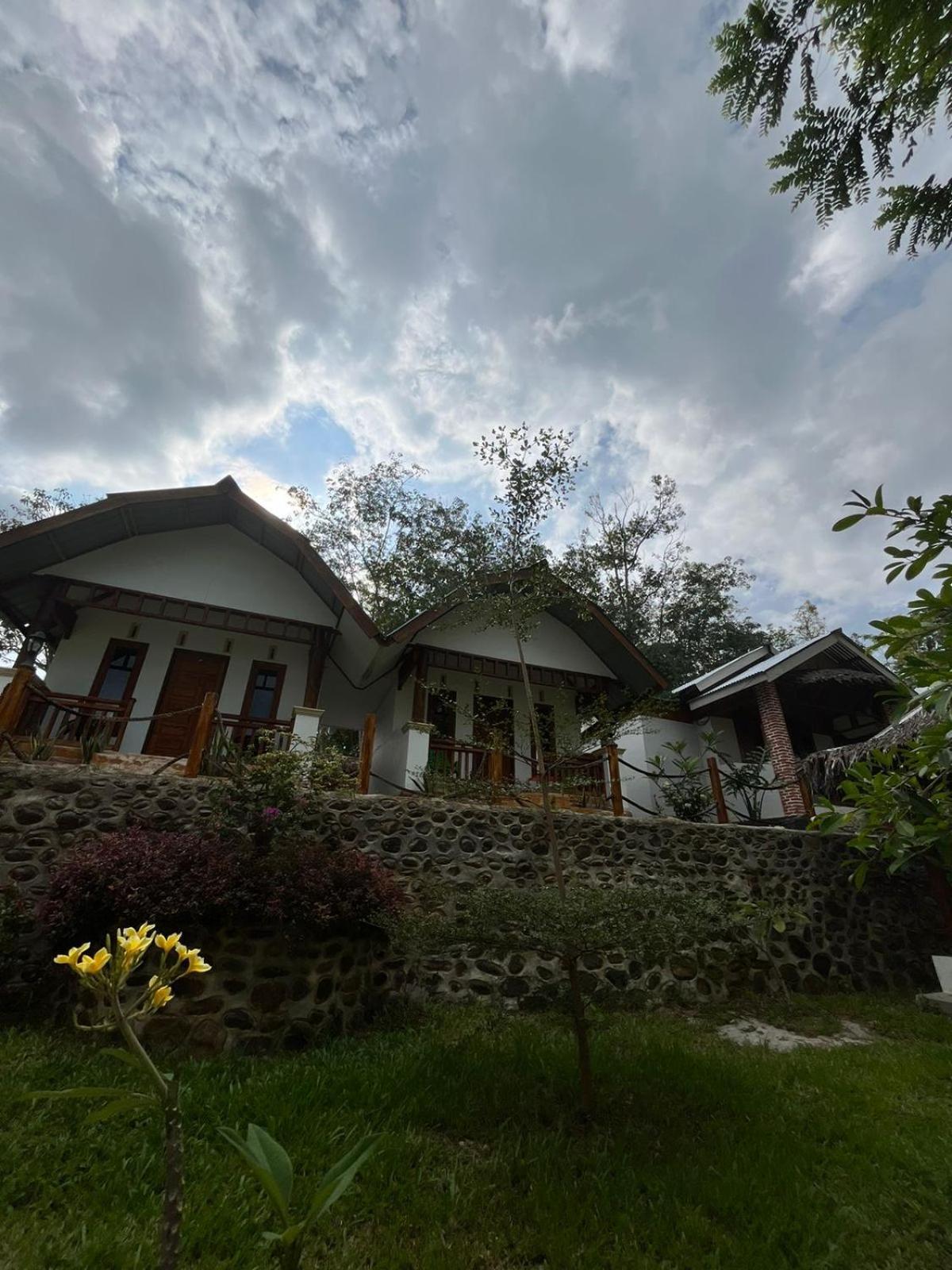 Asim Paris Guesthouse & Jungle Trekking ブキットラワン エクステリア 写真
