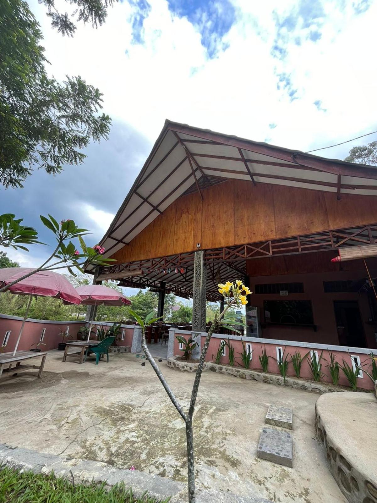Asim Paris Guesthouse & Jungle Trekking ブキットラワン エクステリア 写真