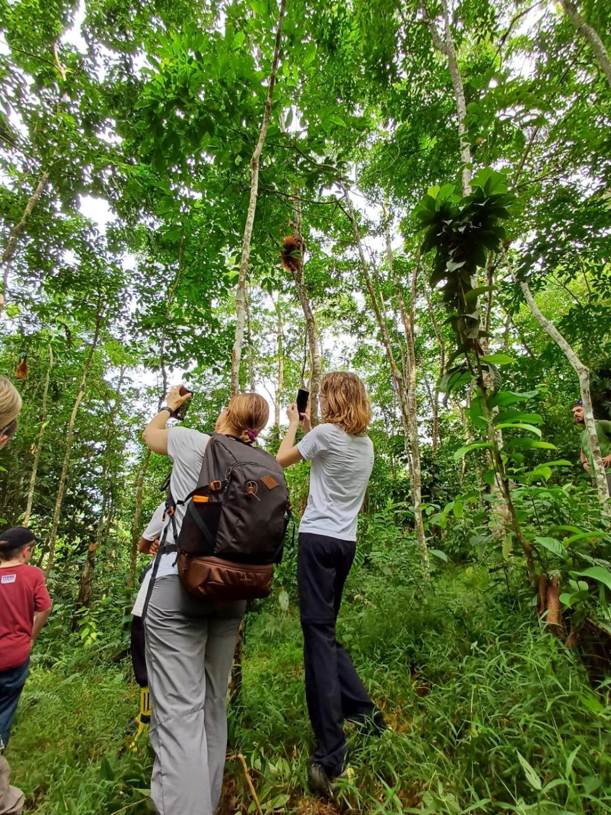 Asim Paris Guesthouse & Jungle Trekking ブキットラワン エクステリア 写真