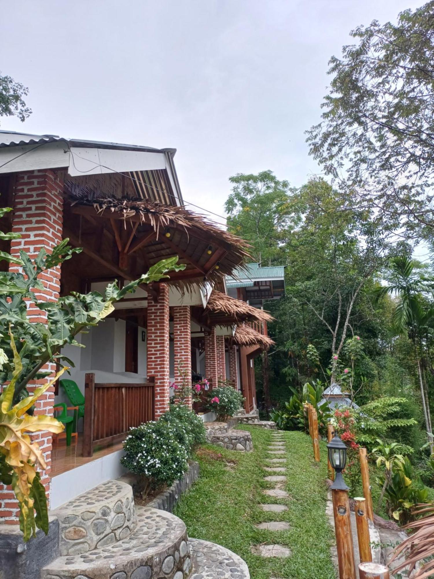 Asim Paris Guesthouse & Jungle Trekking ブキットラワン エクステリア 写真