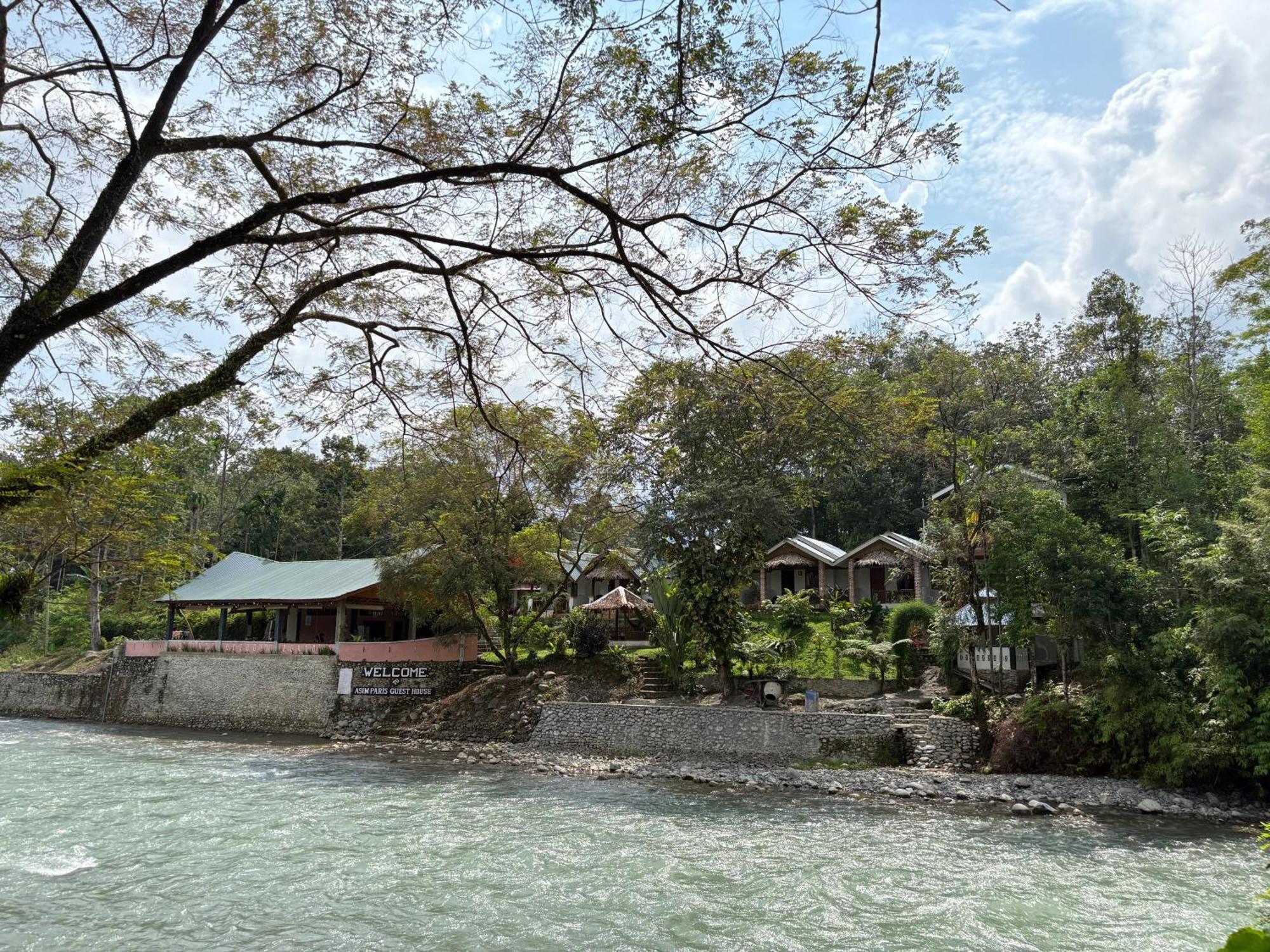 Asim Paris Guesthouse & Jungle Trekking ブキットラワン エクステリア 写真