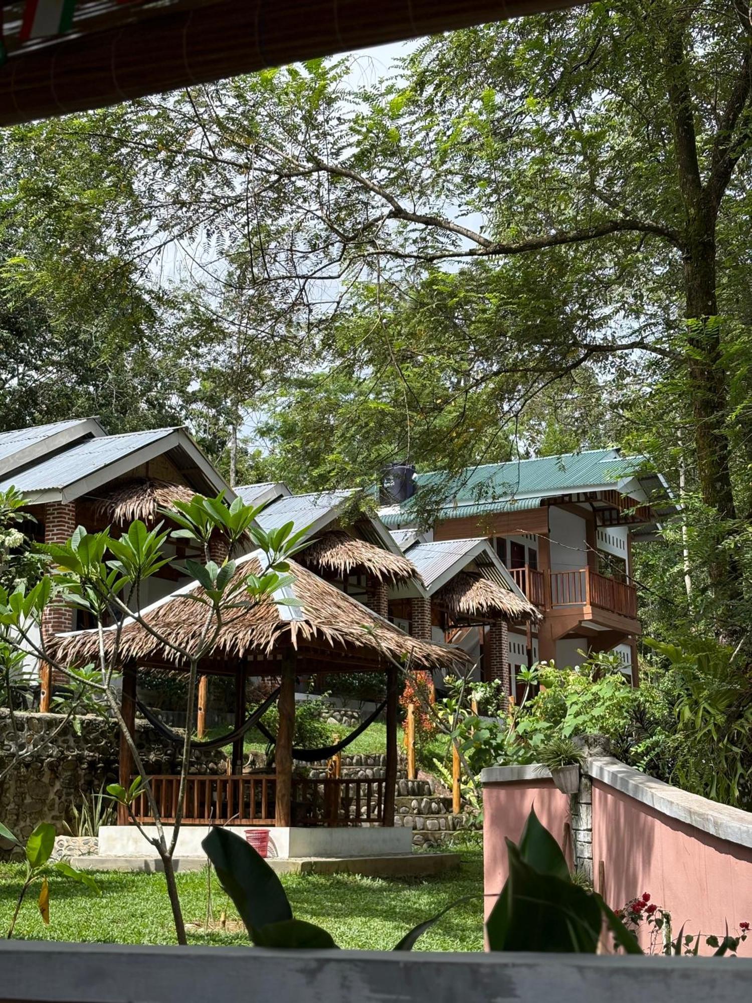 Asim Paris Guesthouse & Jungle Trekking ブキットラワン エクステリア 写真
